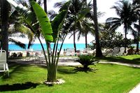 Garden of the Hotel PALM BEACH CONDOS - Cabarete - Dominican Republic